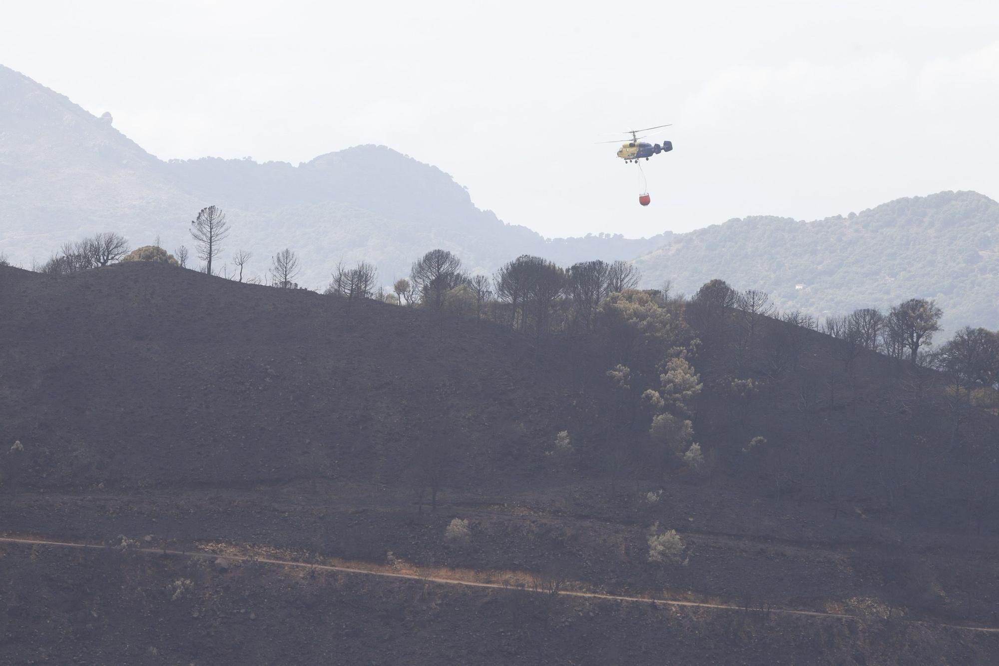 El Paraje de las Peñas Blancas en Estepona arrasado por el fuego