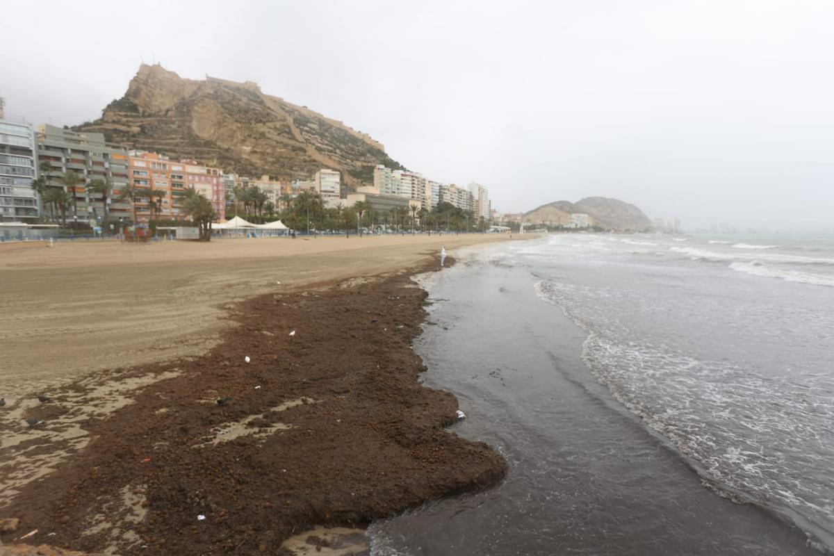 La lluvia cae con fuerza sobre una Alicante en alerta naranja