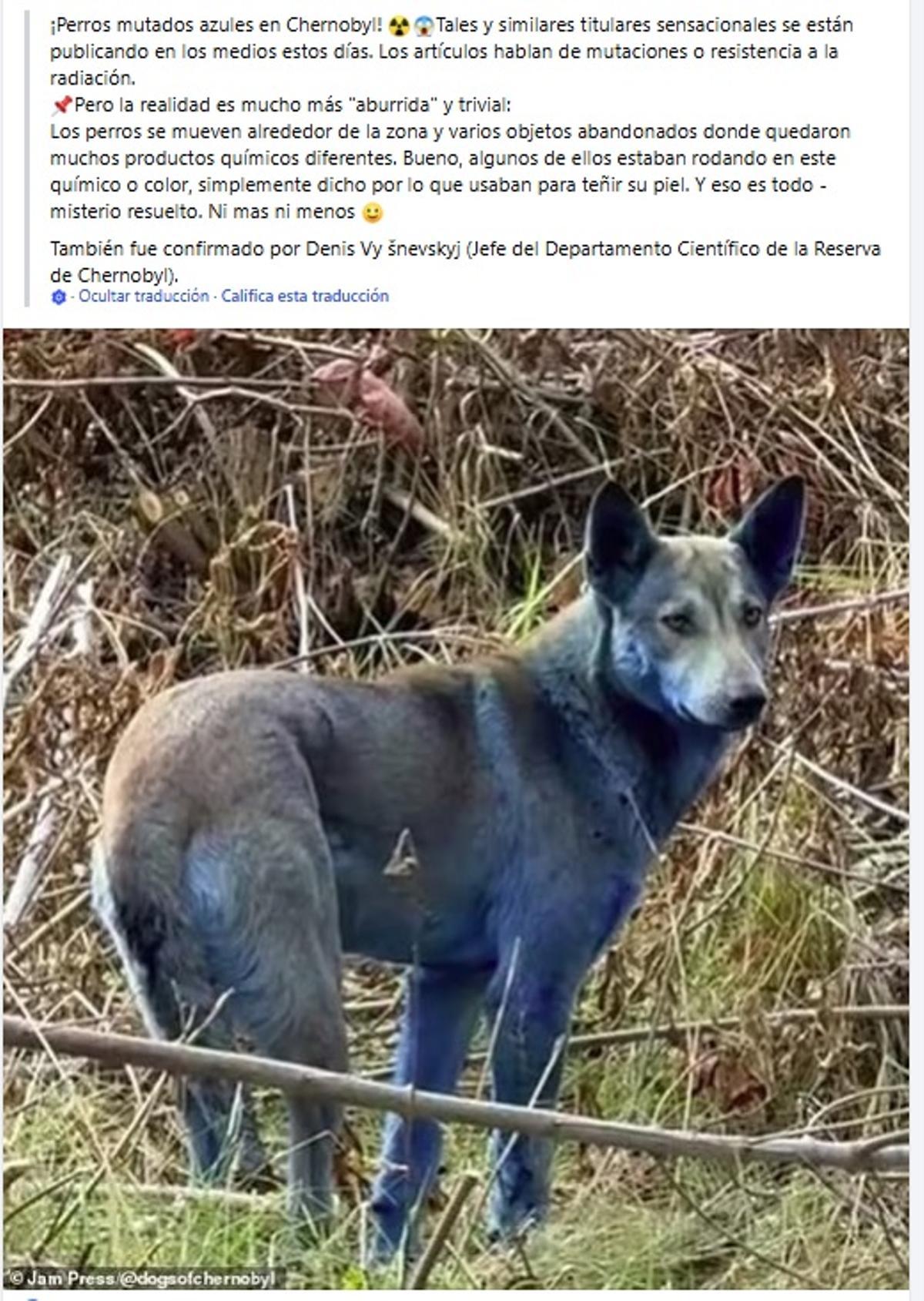 Publicación en Facebook.
