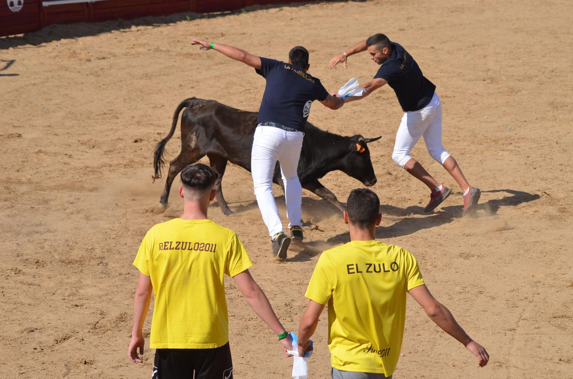 Fiestas del Toro en Benavente: Las mejores imágenes del "Juego de la NTE"