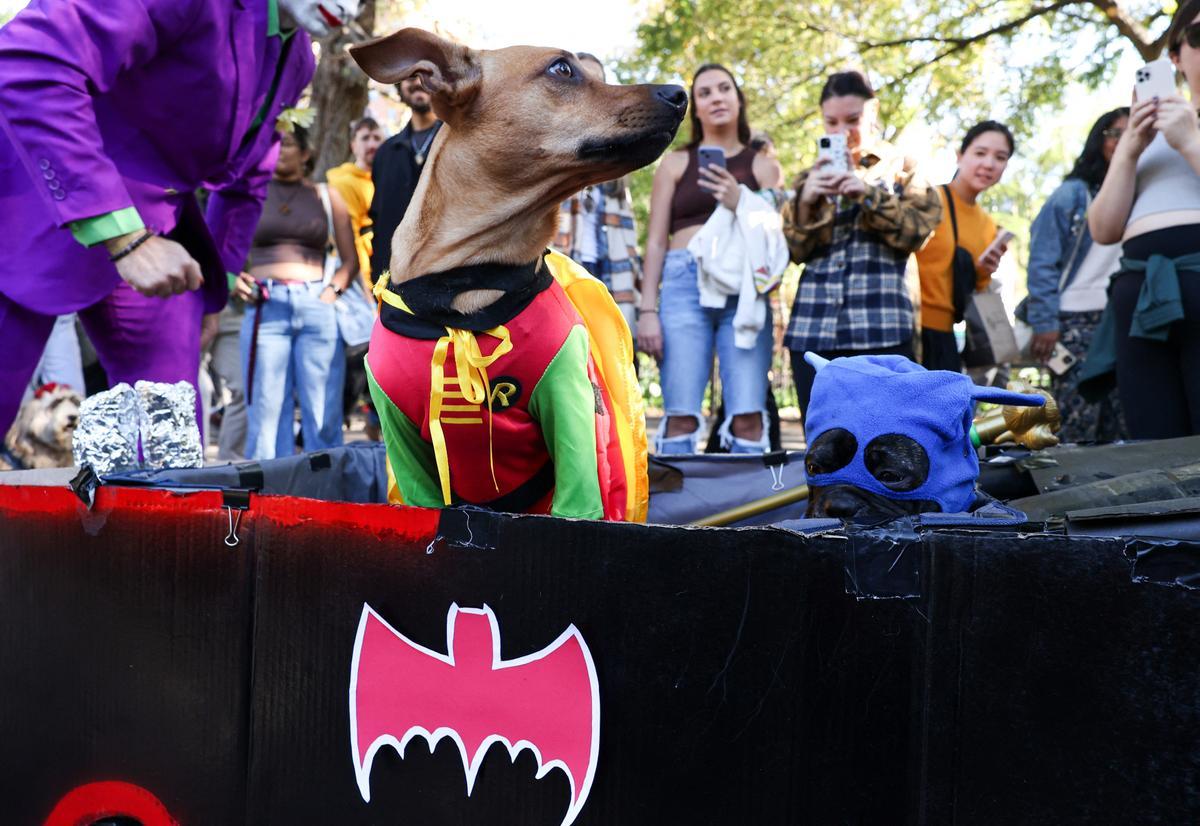 Desfile de disfraces de Halloween para perros en Nueva York