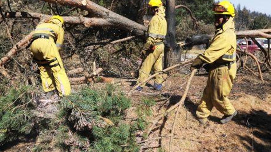 Once cuadrillas empiezan los trabajos de prevención de incendios en Aragón