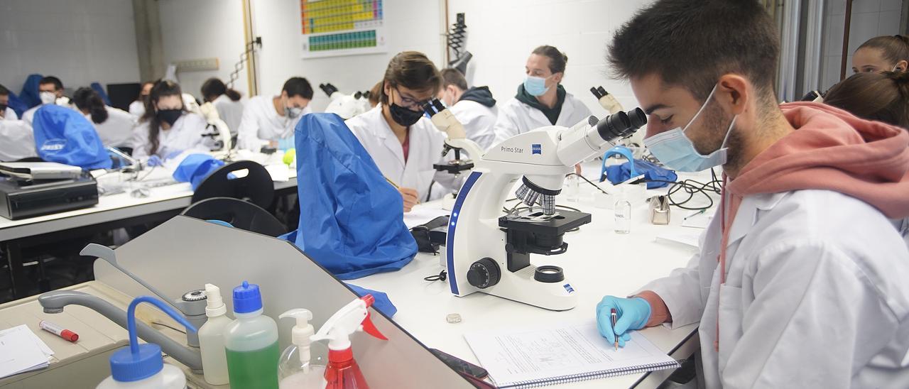 Alumnes fent pràctiques en un laboratori de la UdG