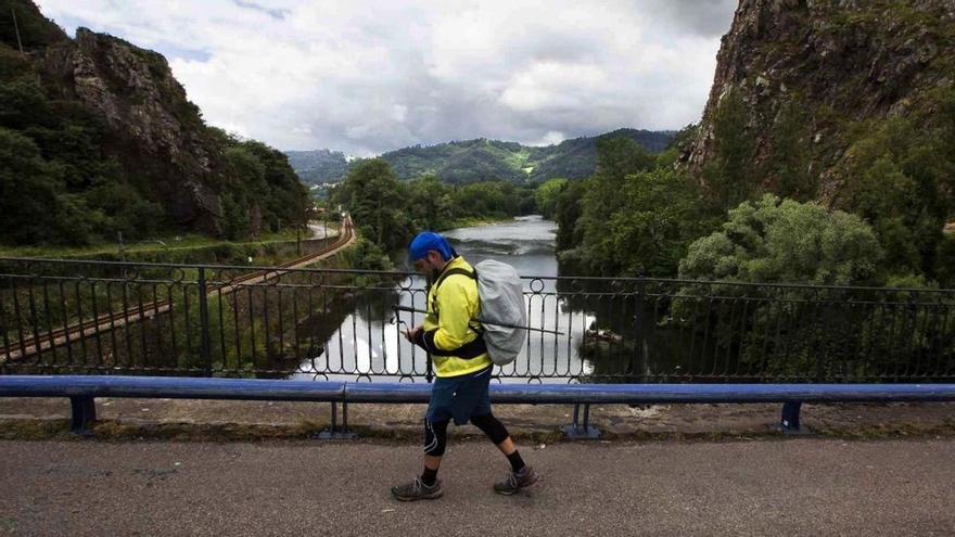 Grado acogió en 2021 a 14.000 peregrinos, más incluso que antes del inicio de la pandemia