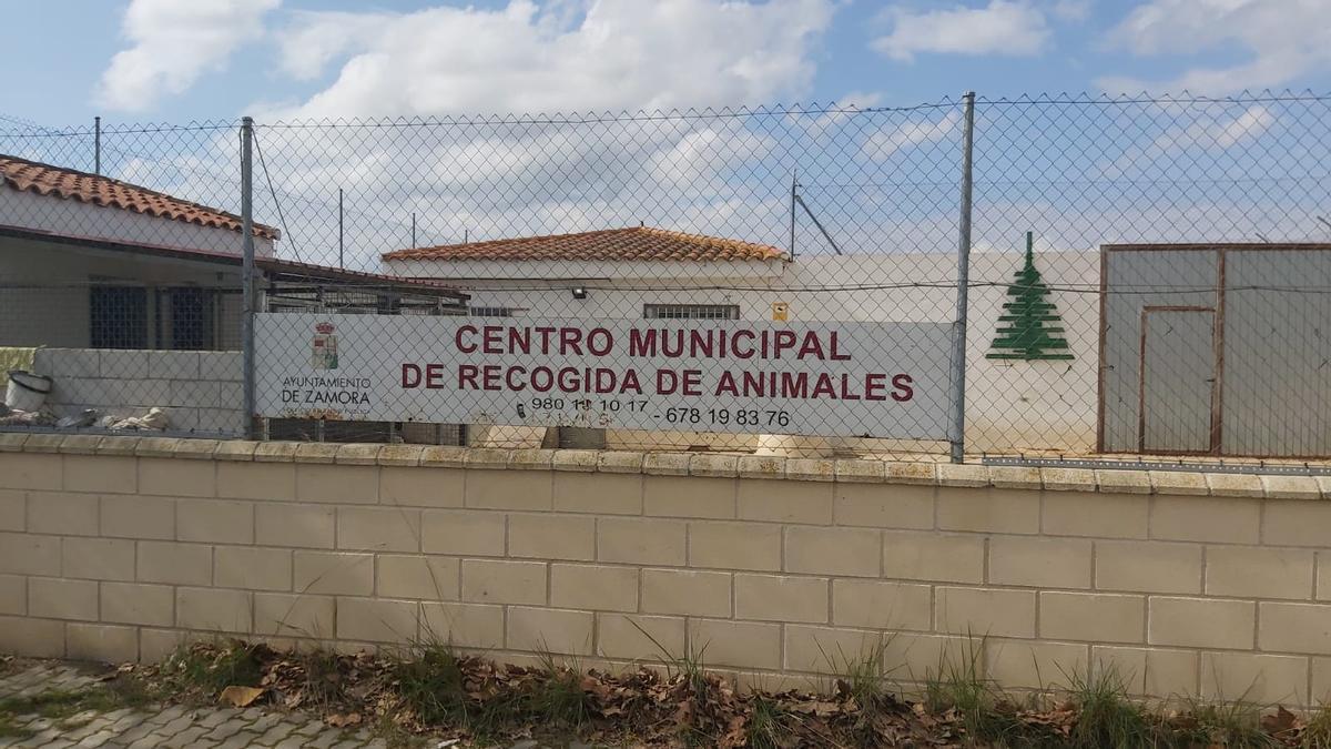 Centro de acogida de animales en Zamora.