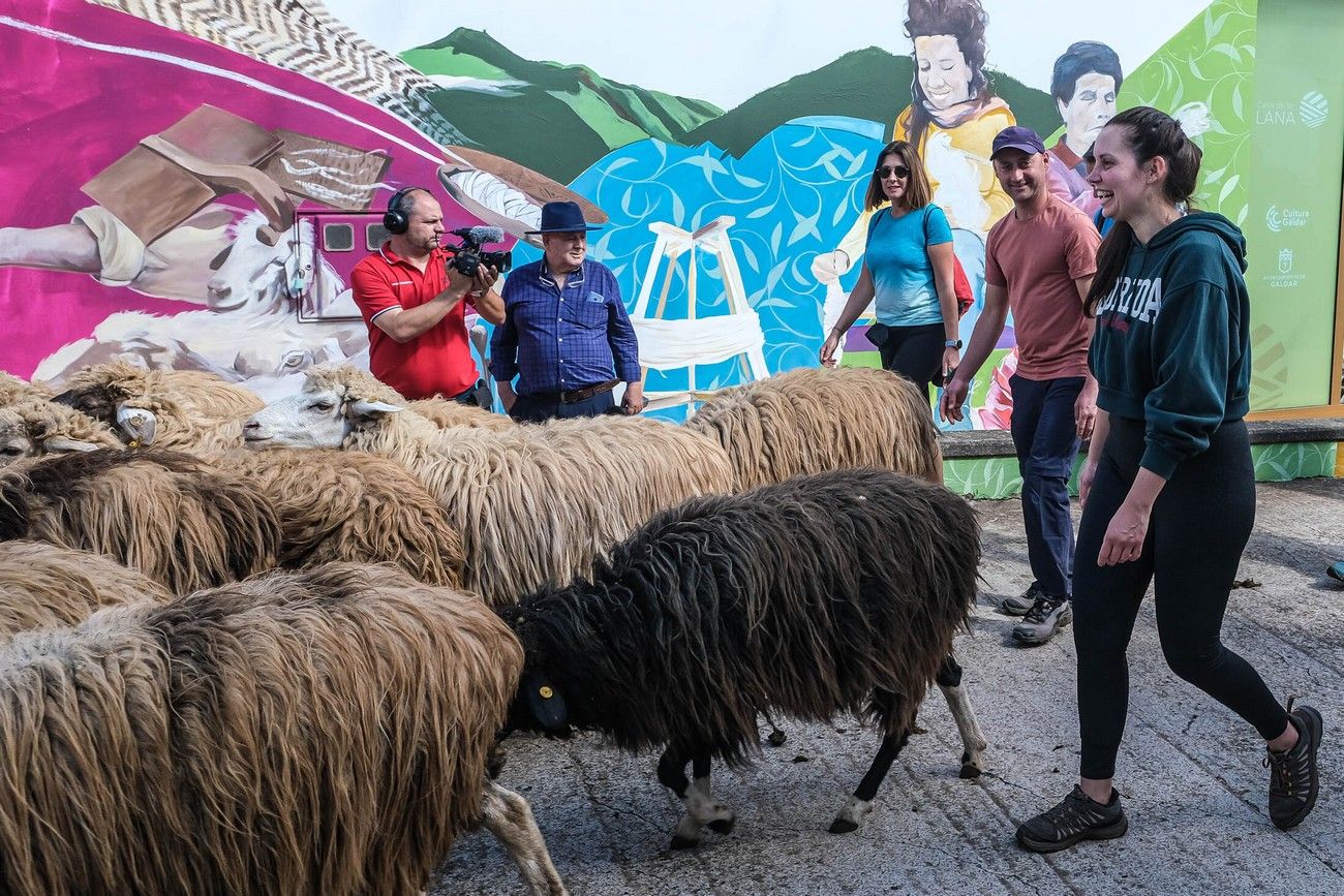 Miles de personas eligen Caideros y la Fiesta de la Lana para celebrar el Día de Canarias