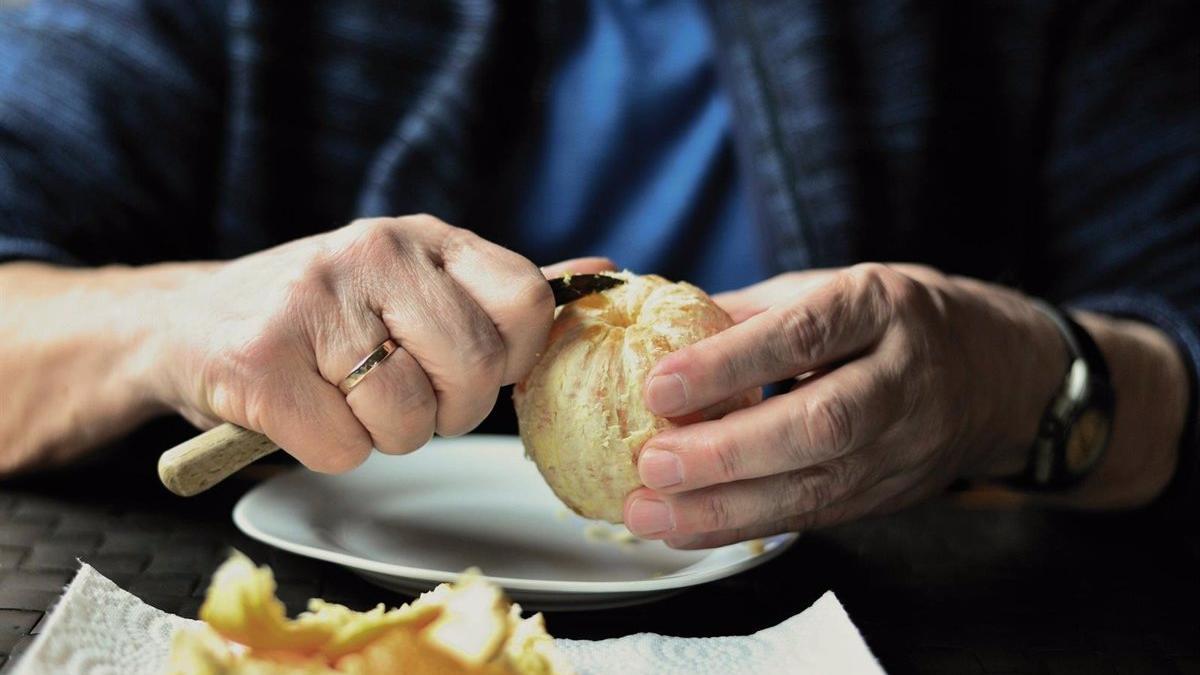 servicio menjar casa personas mayores