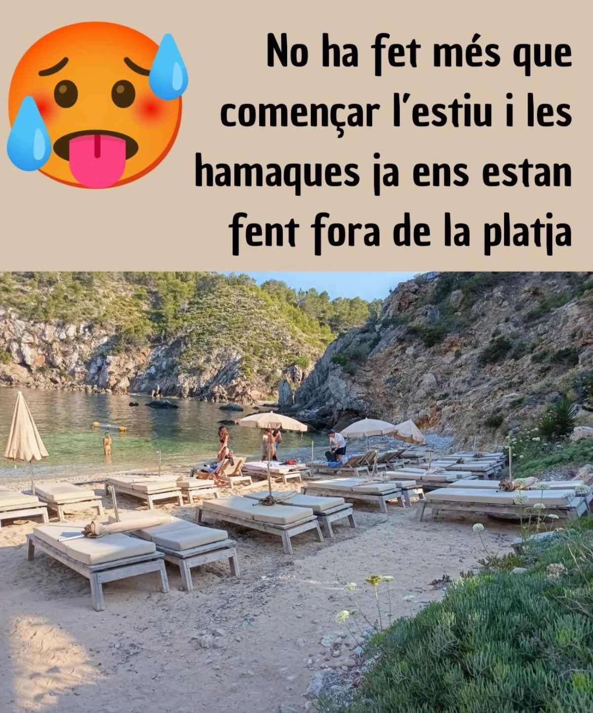 Una de las imágenes de Cala d'en Serra compartida por Amics de la Terra.
