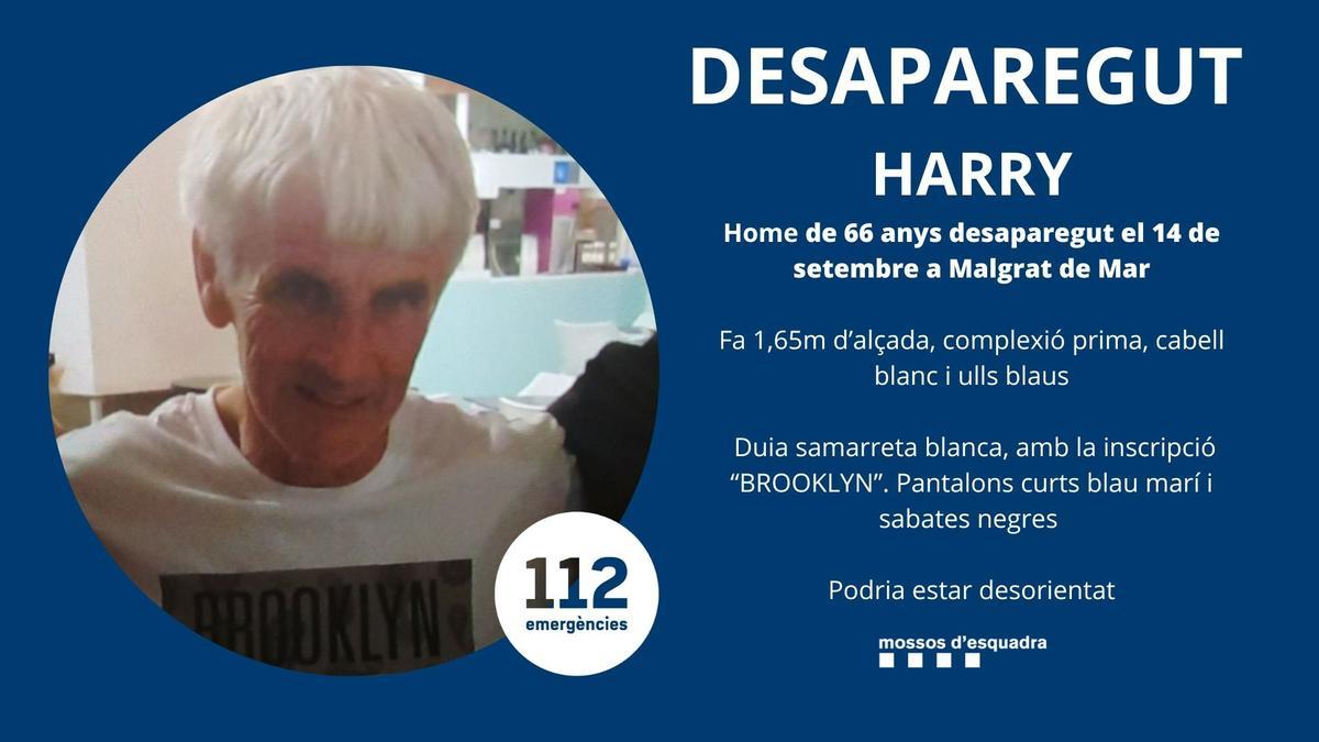 Harry, desaparecido en Malgrat de Mar (Barcelona)