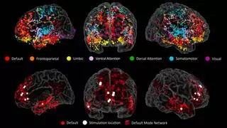 Revelan la red neuronal que maneja la creatividad en el cerebro