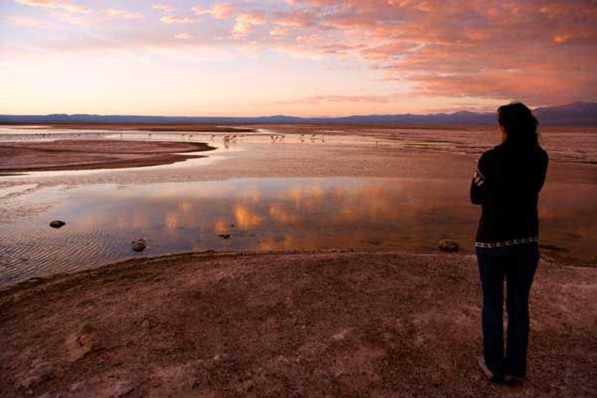 La laguna de Chaxa es uno de los lugares privilegiados donde contemplar los atardeceres únicos del desierto de Atacama.