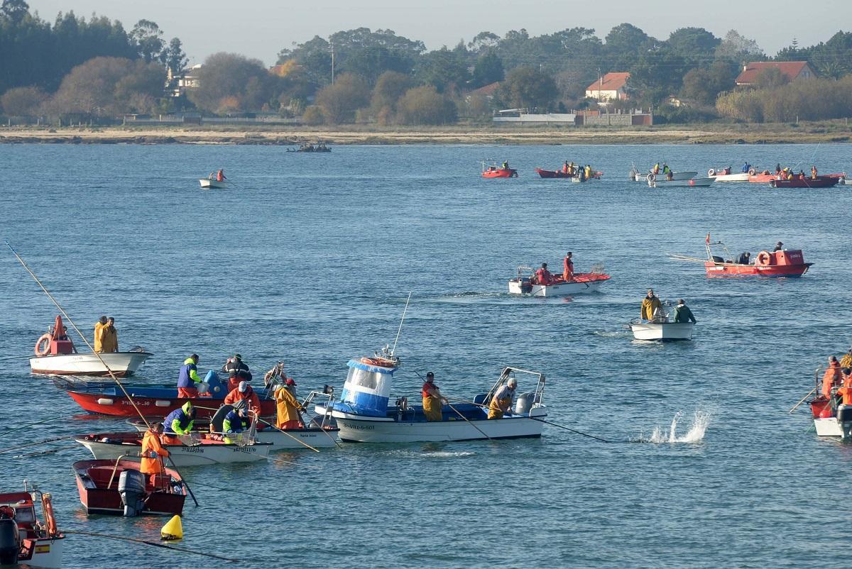 Rañeiros mariscando en la ría de Arousa