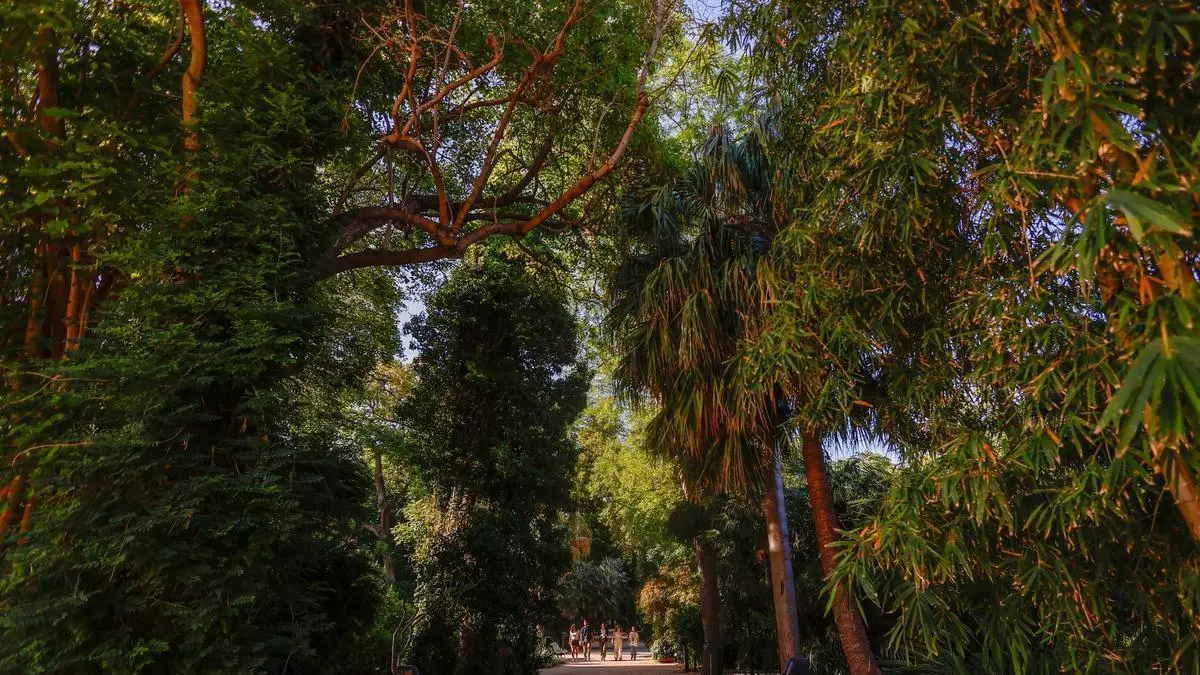 El Jardín Botánico de València rompe su techo de visitantes y baraja una ampliación