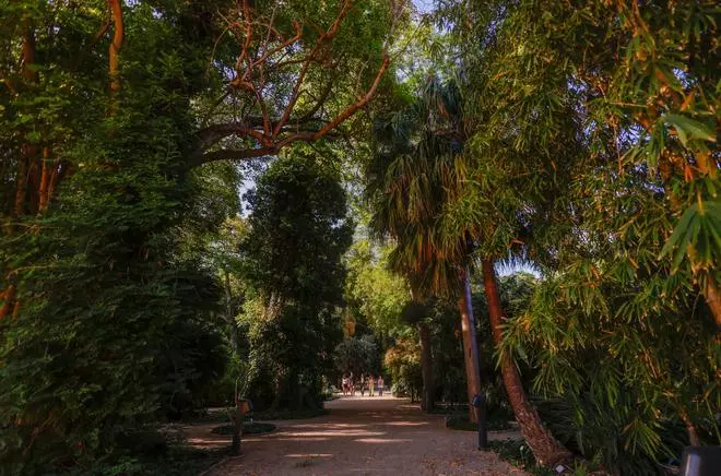 El Jardín Botánico de València está de moda