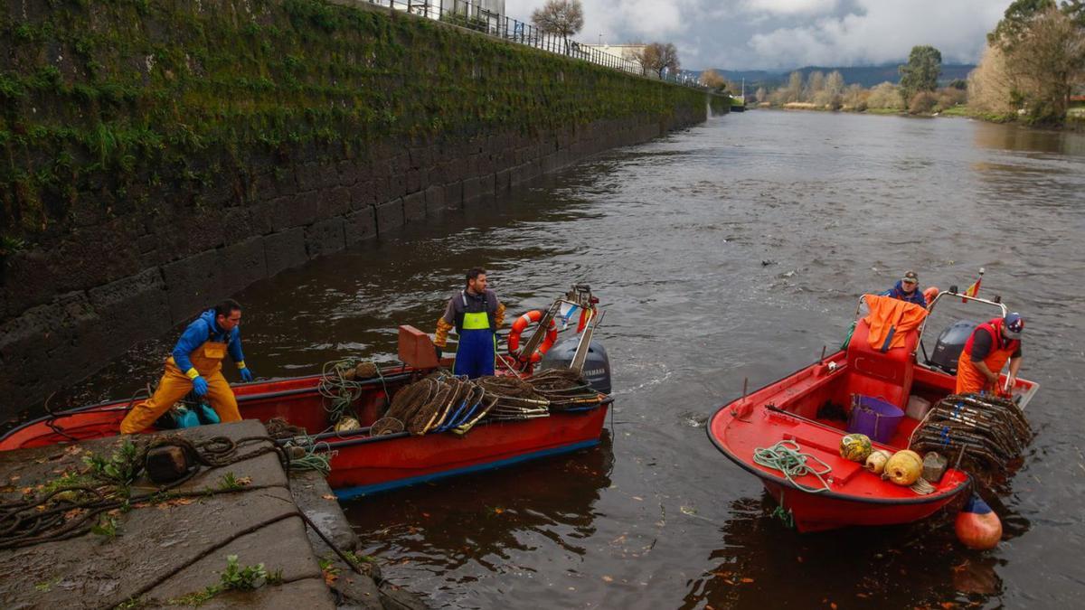 Momento en el que se largaron ayer las nasas al río Ulla. |   // IÑAKI ABELLA