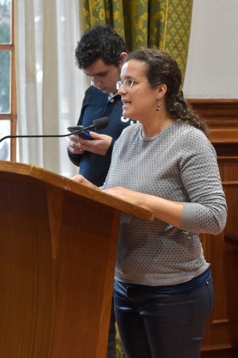 Pleno del Ayuntamiento de Telde