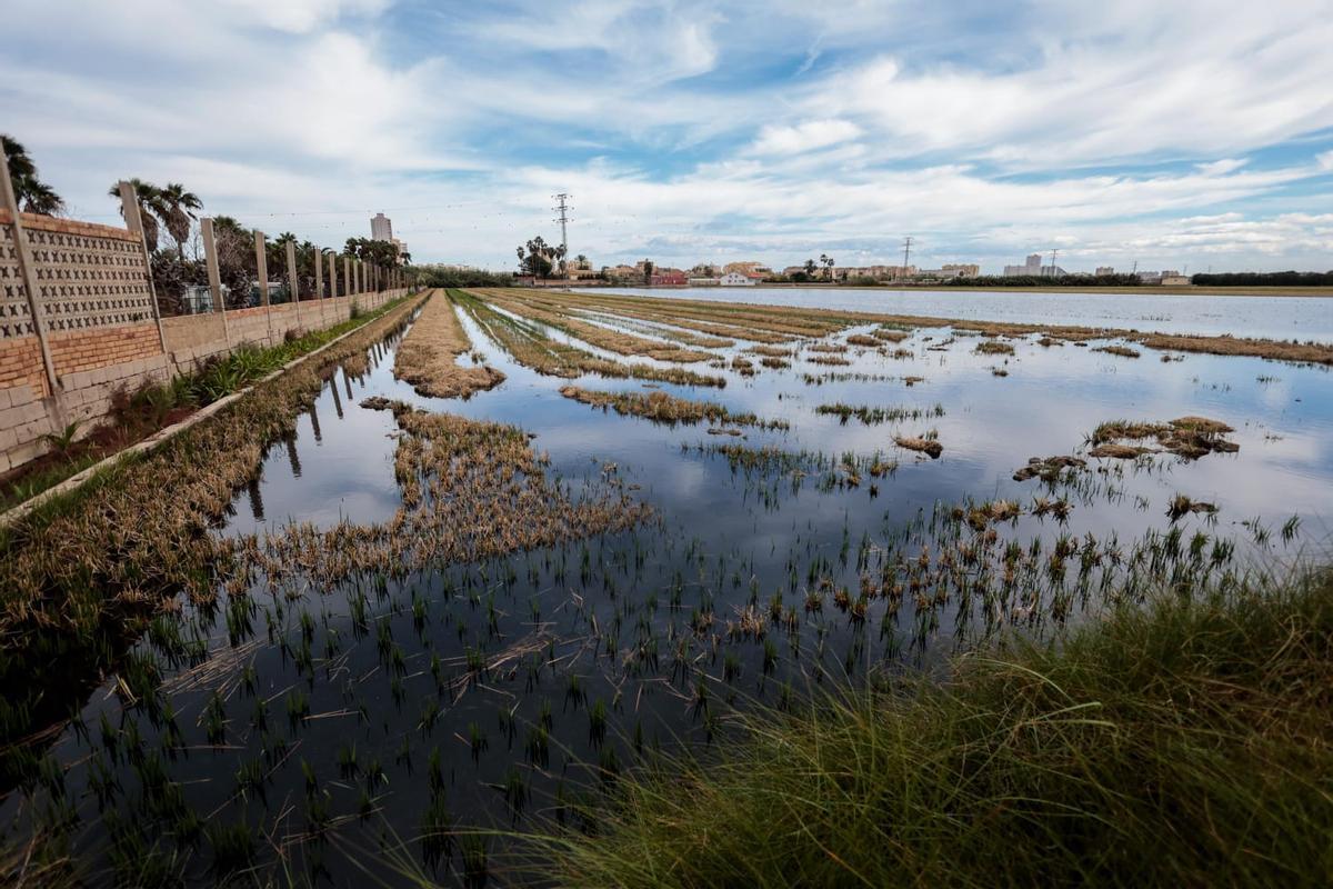 Uno de los campos donde pueden apreciarse aguas negras.