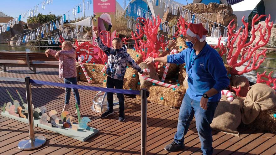 Aprende y disfruta de una &#039;Navidad bajo el mar&#039;, en el Oceanogràfic de València