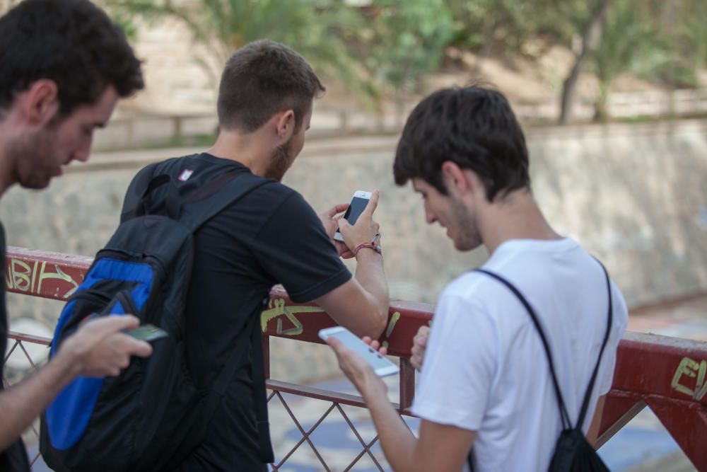 Pokémon Go conquista las calles de Elche