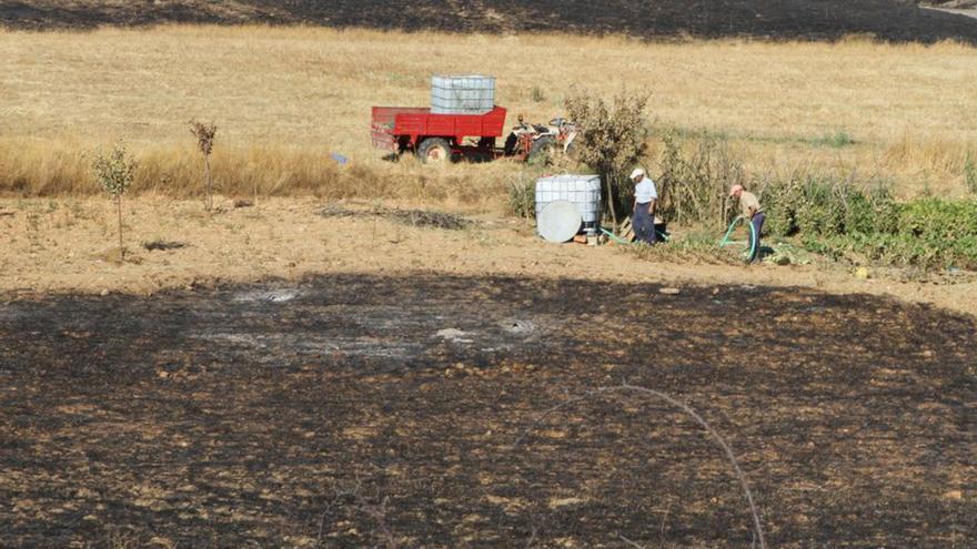 Los agricultores de los incendios reciben 1.500 euros de media en Zamora, según datos de Asaja