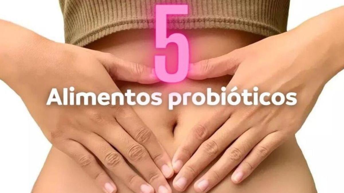 probióticos