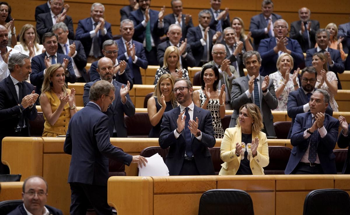 El líder del PP, Alberto Núñez Feijóo, en el Senado mientras las filas del partido aplauden.