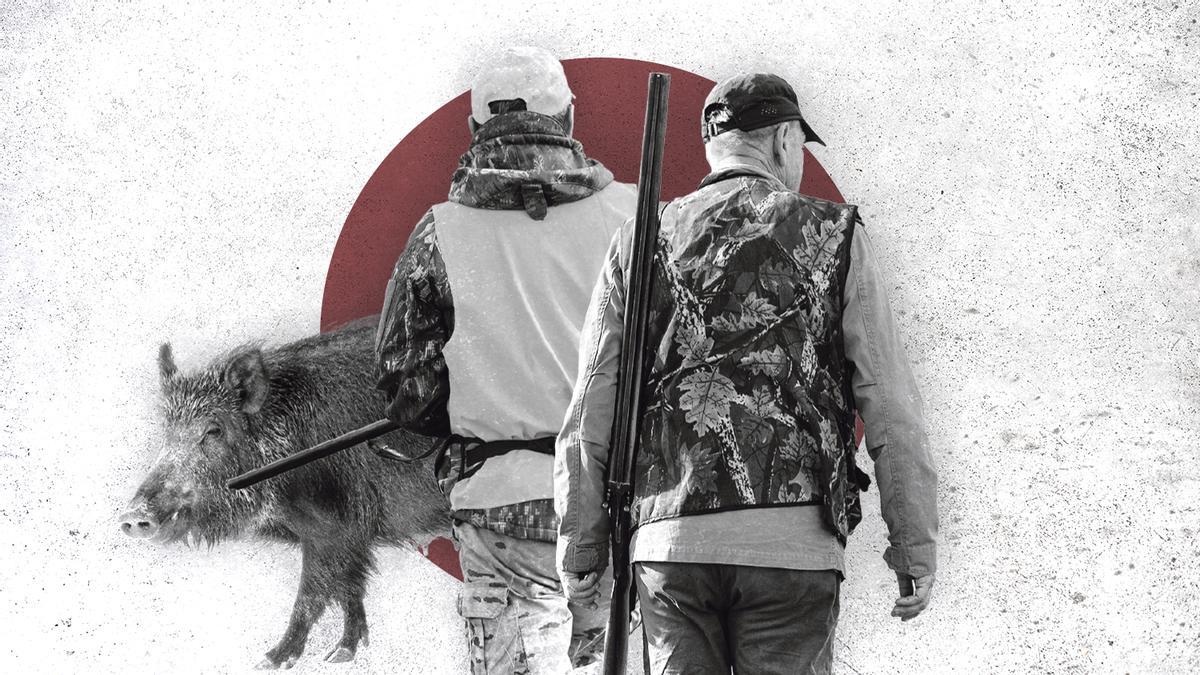 Medio Rural pide cazar más de 15.000 jabalíes en Asturias para frenar la peste porcina