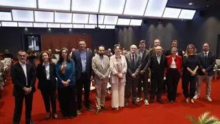 "La red eléctrica debe ir por delante de la demanda, aún con riesgo de sobreinvertir", advierte el ex ministro Luis Atienza