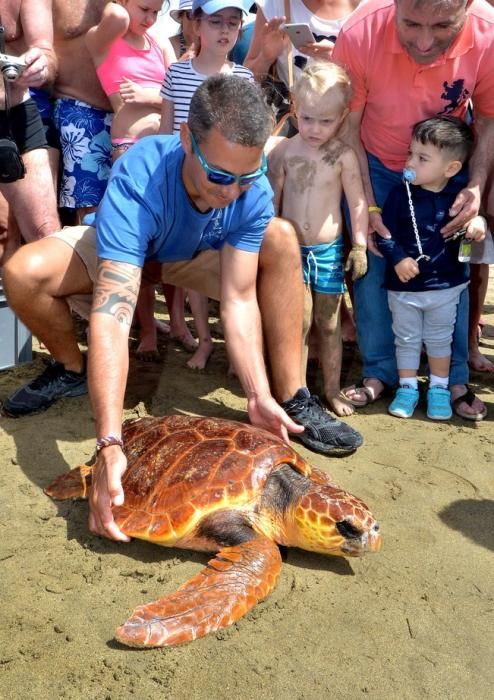 GARZA ÁNADE TORTUGA SUELTA CHARCA MASPALOMAS