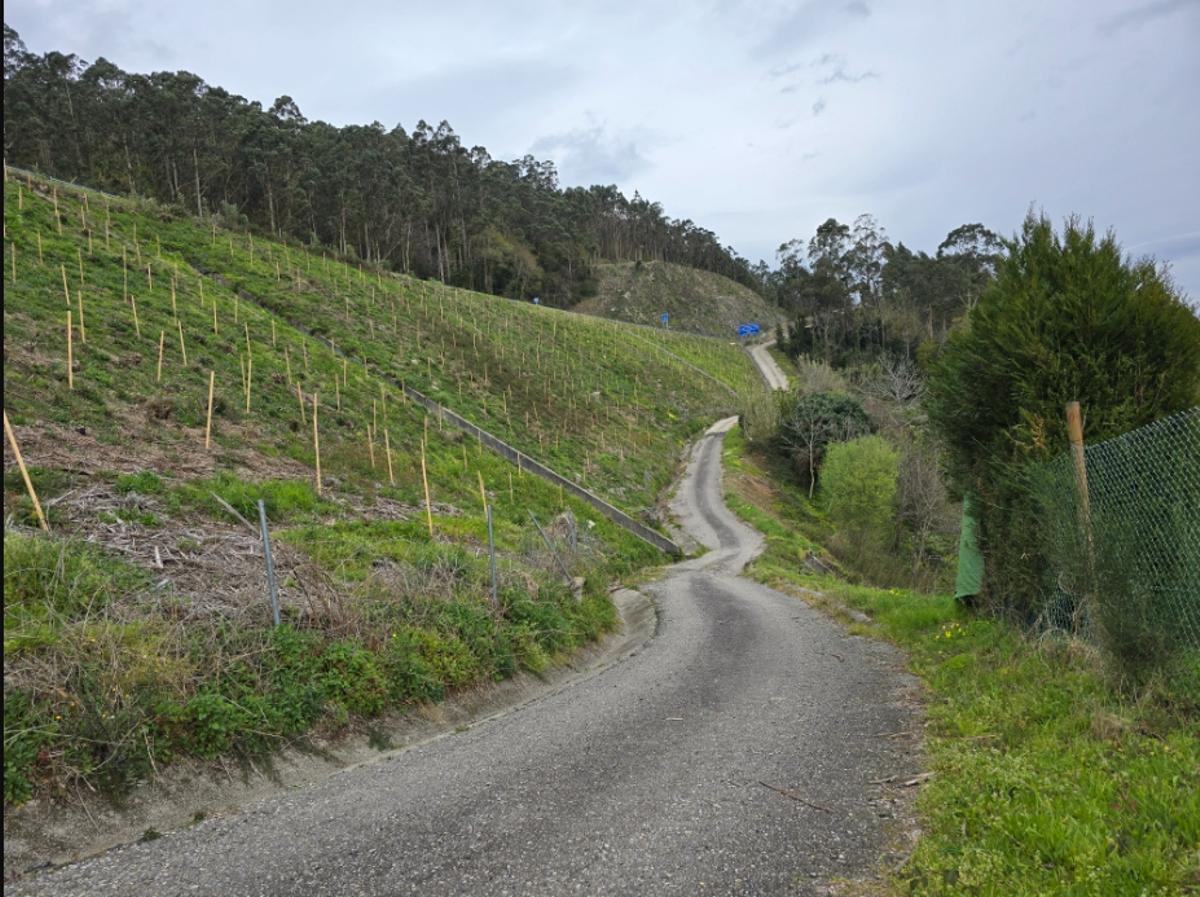 La zona del talud y del vial de servicio antes del derrumbe.