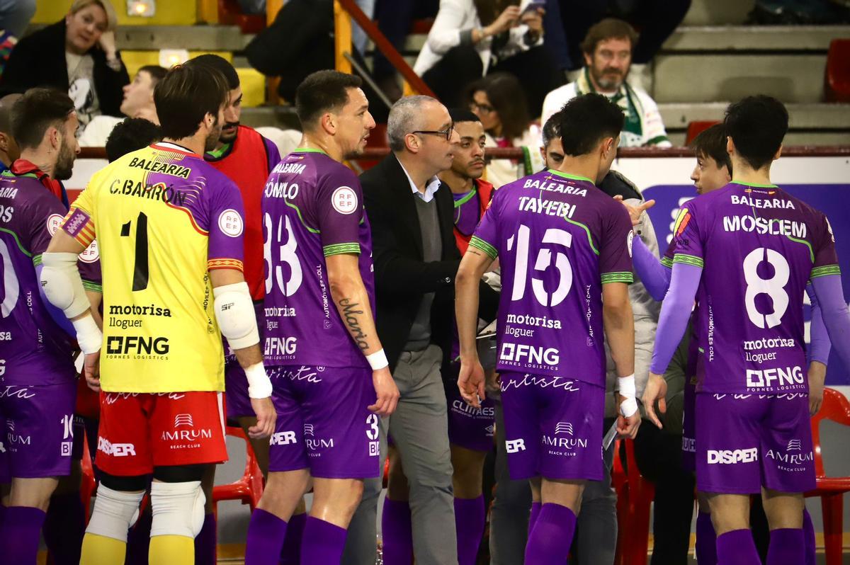 Córdoba Futsal Patrimonio-Mallorca Palma: el partido en imágenes Córdoba Futsal Patrimonio-Mallorca Palma: el partido en imágenes