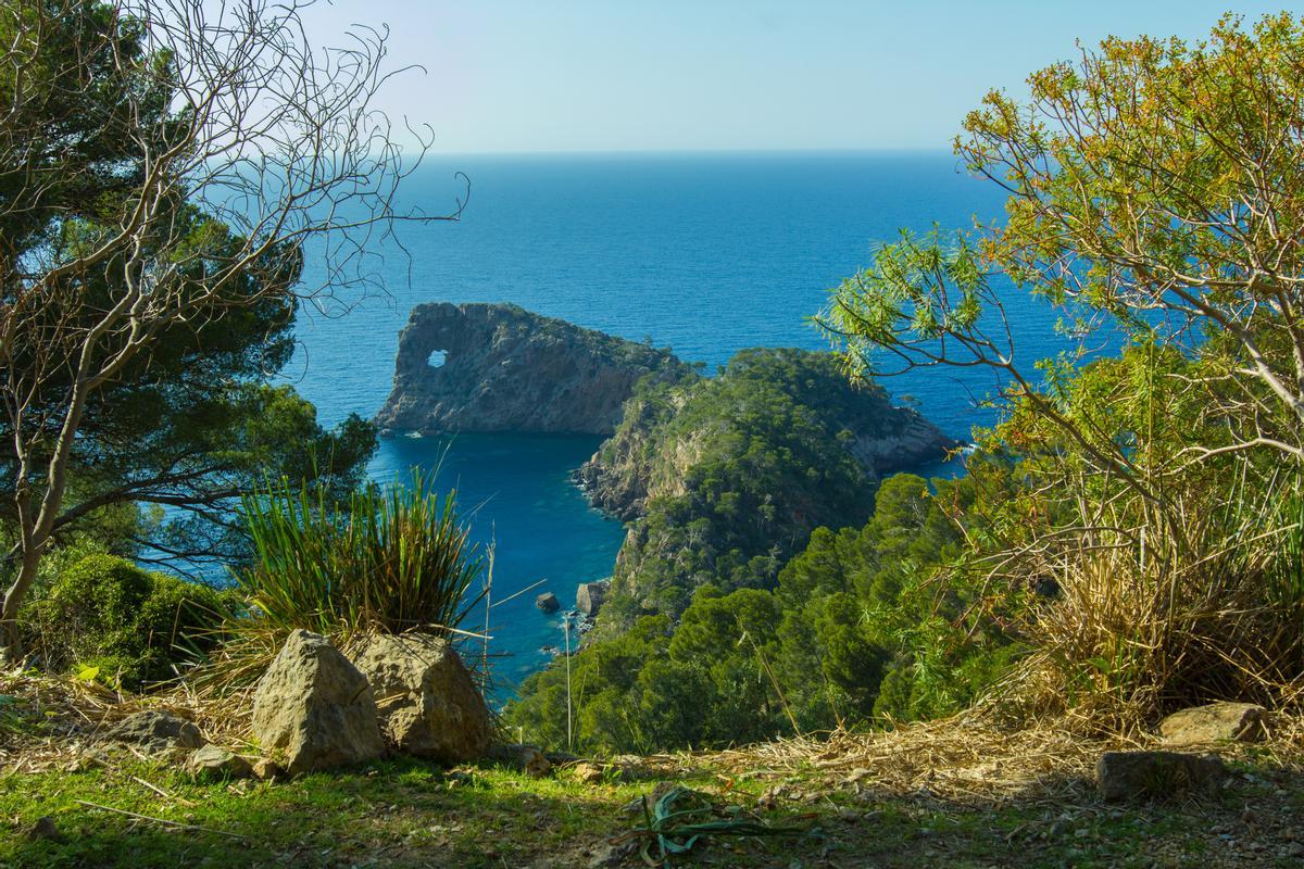 La costa de Sa Forada en Son Marroig