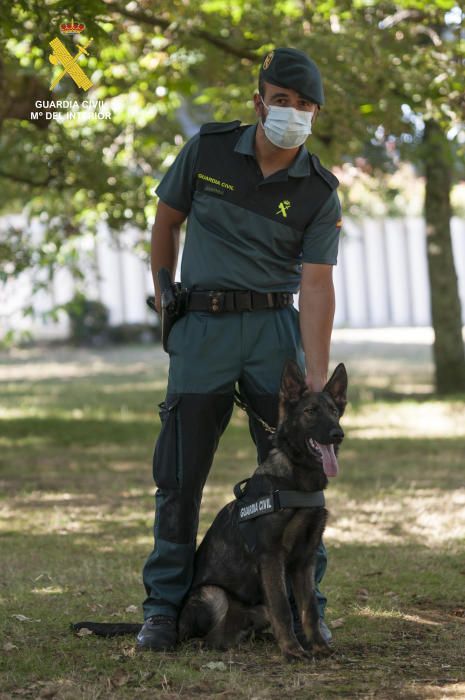 Dos nuevos cachorros policiales para Asturias