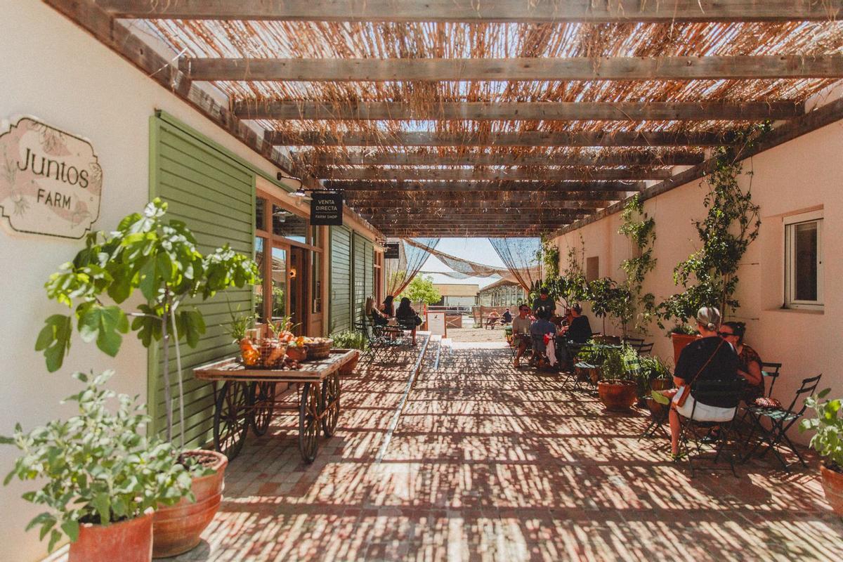 Juntos Farm cuenta con sala de degustación y tienda para comprar productos locales.