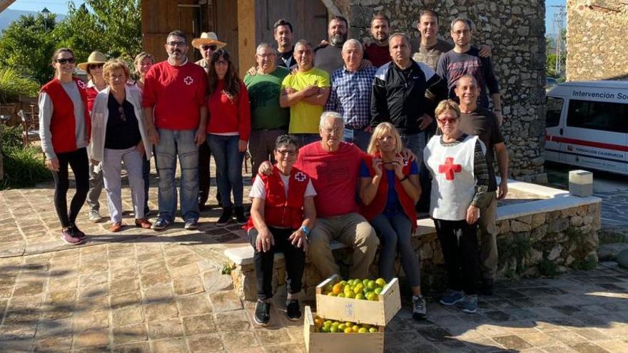 Donan toda la producción de mandarinas ecológicas de l&#039;Hort d&#039;Alé de Pedreguer a familias necesitadas