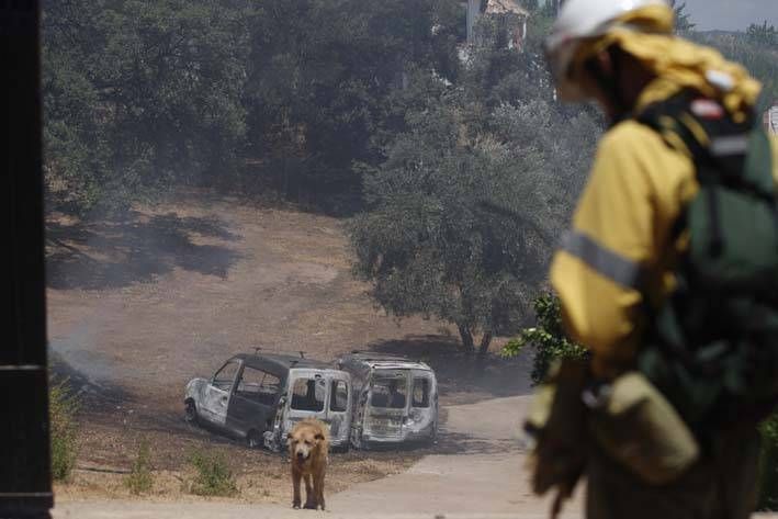 Las imágenes del incendio en el entorno del hospital de Los Morales.