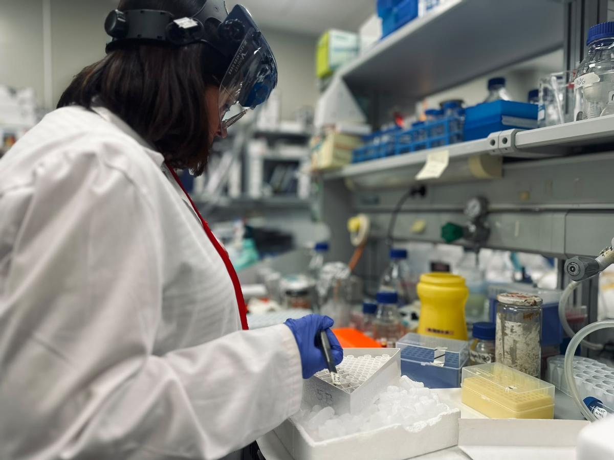 Investigadora del equipo del profesor Pablo Huertas en los laboratorios de Cabimer.