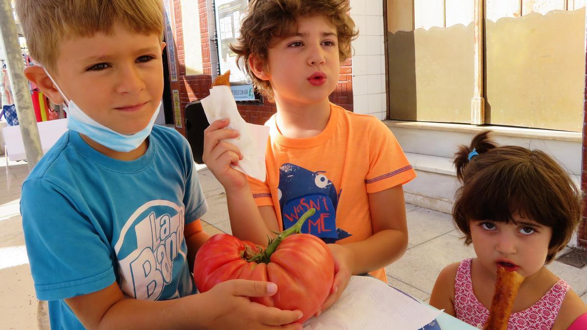 Tomate ganador del concurso con más de 1 kilo y 300 gramos de peso