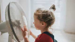 ¿Por qué los consumidores miran la parte de atrás de los ventiladores? Este es el truco de los electricistas para ahorrar en la factura de la luz