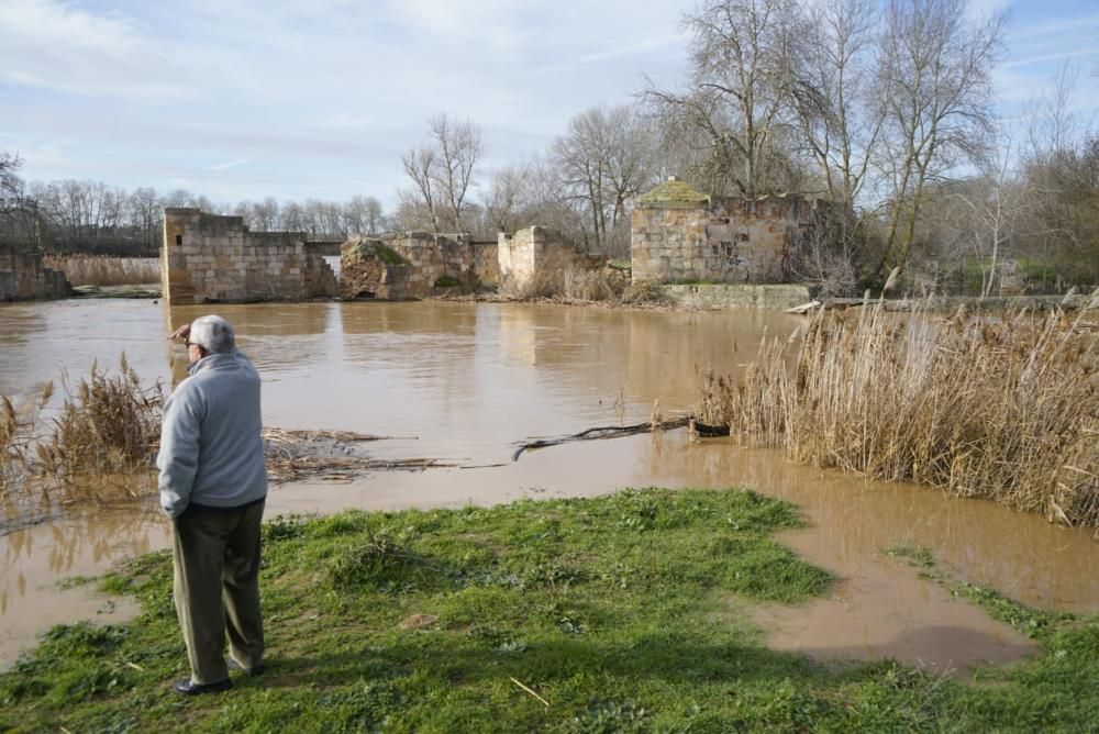 El río Duero a su paso por Zamora capital.