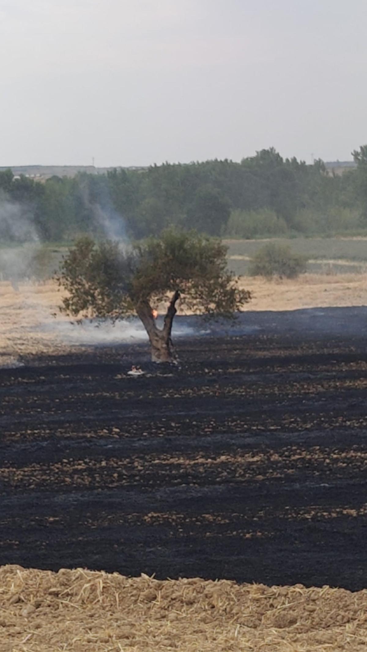 Incendio en Alcolea de Cinca
