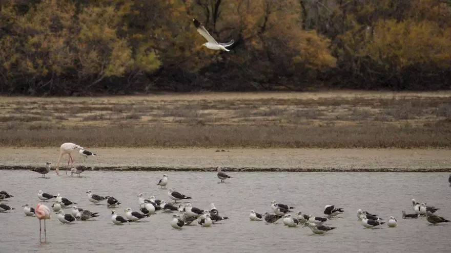 Más allá de la Lista mundial Ramsar