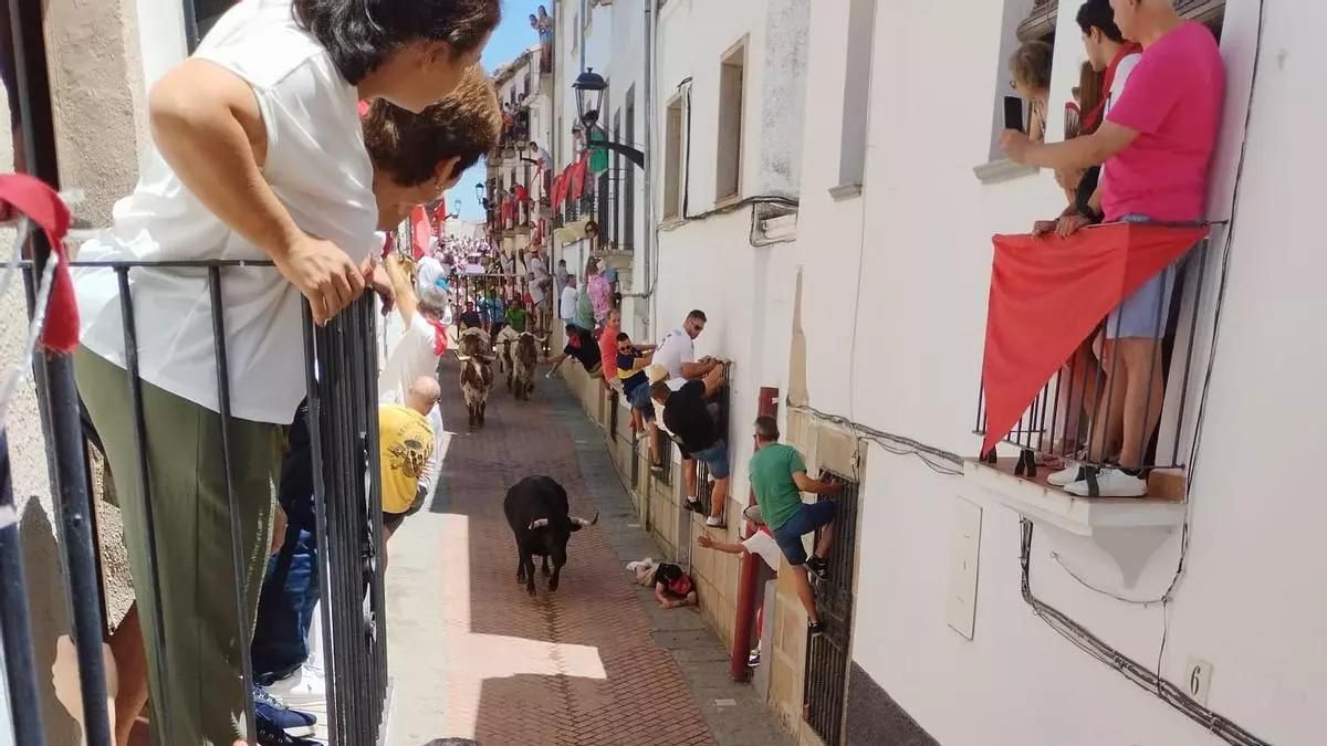 Uno de los encierros de los Sanjuanes 2025.