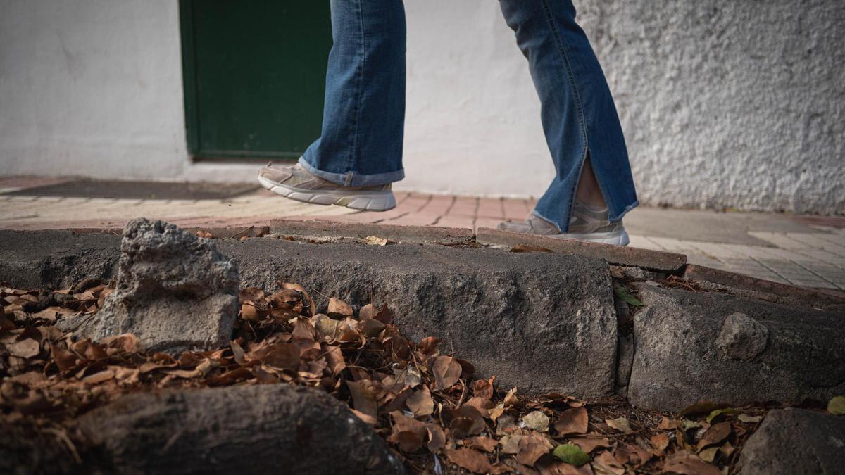 Pavimento levantado por el crecimiento de las raíces de los árboles