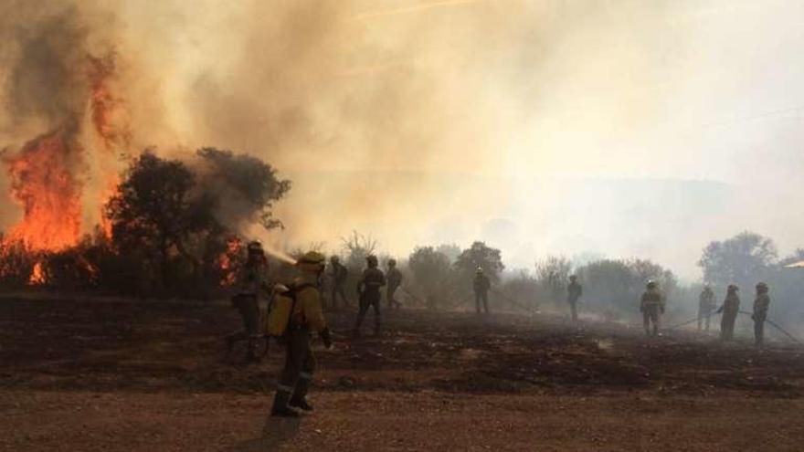 Un incendio intencionado en Las Torres calcina ocho hectáreas de jaras