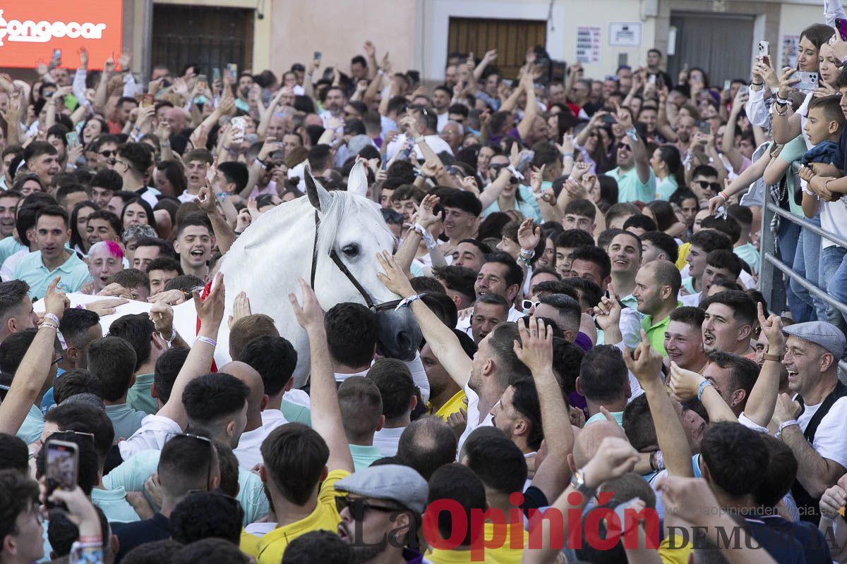 Fiestas de Caravaca | Entrega de premios del concurso morfológico