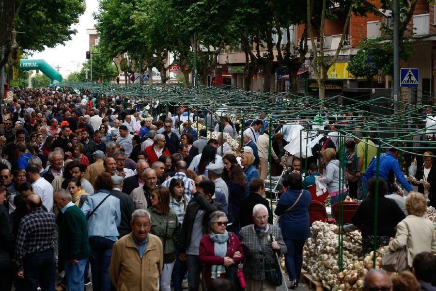 Fiestas San Pedro 2017: Feria del Ajo