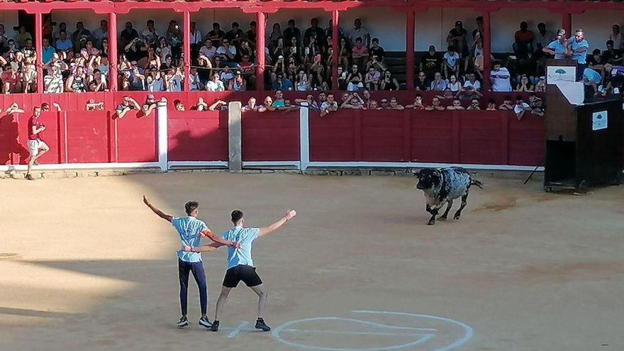 Dos miembros de la asociación citan al toro en la suelta celebrada en el coso taurino. | M. J. C.