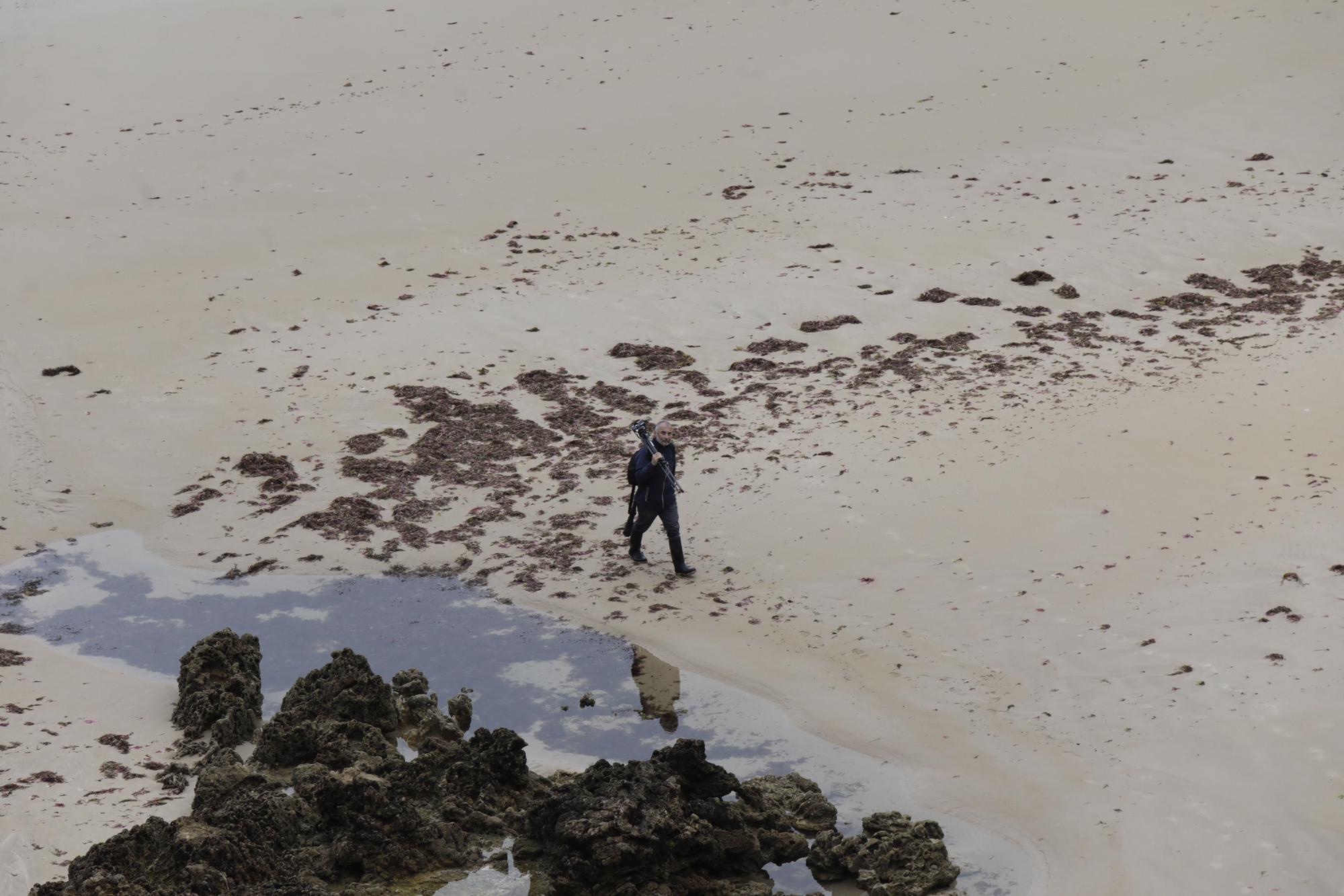 Así es Torimbia, la playa en la que a veces toca taparse