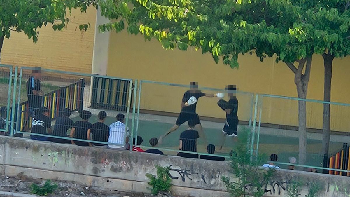 Vídeo: Combate de boxeo dentro de un colegio de Castellón